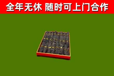 龙文回收海参
